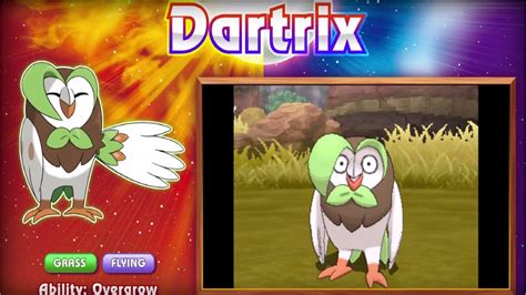 Pokemon Sun And Moon Starter Analysis Dartrix Dont Give A Hoot Youtube