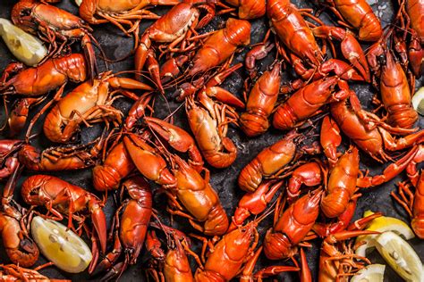 The Meaning And Symbolism Of The Word Crawfish