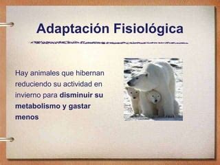 Adaptaciones PPT