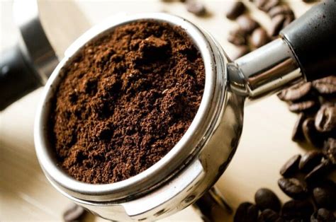 Beneficios y usos de los posos de café para el cuidado de tus plantas