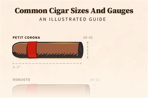 Cigar Sizes Shapes And Gauges An Effortless Guide Effortless Gent