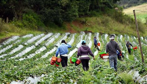 El 40 De Las Tierras Del Planeta Se Utilizan Para La Agricultura Productos Para Agricultura