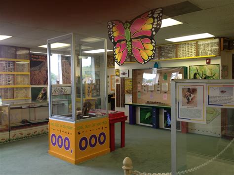 Windsor Suites Philadelphia Bed Bugs | decorated greek letters