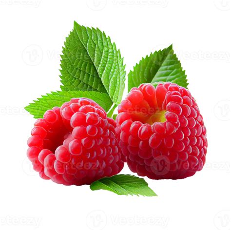 Raspberry Fruit Png Raspberries On Transparent Background Png