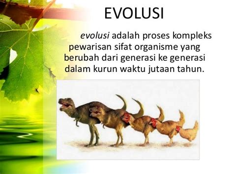 Biologi Evolusi