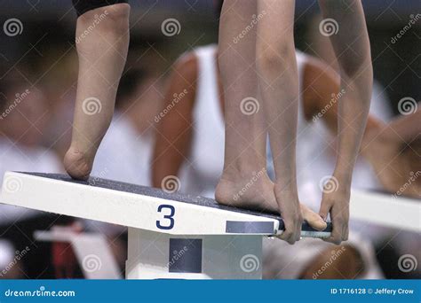 Disabled swimming 1 stock photo. Image of paralympic, swimmer - 1716128