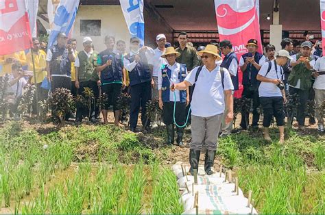 Produksi Meningkat Ntb Masuk Lumbung Pangan Nasional Insidelombok