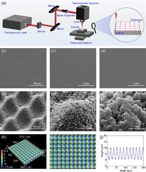 A Schematic Of The Fabrication Of Micronanostructures On Zirconia