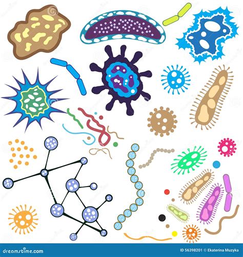 Bacteriën Micro Organisme En Geïsoleerde Viruscellen Vector