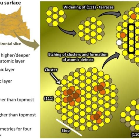 Schematic Representation Of Hypothesized Surface Reconstruction Effects Download Scientific