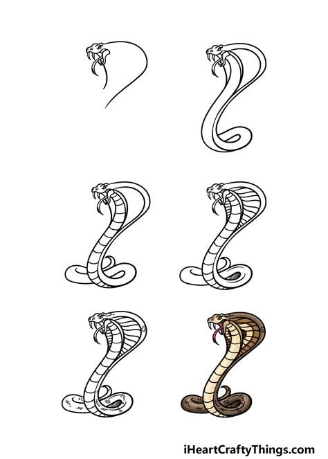 How To Draw A Cobra Easy Step By Step How To Draw A Cobra Head Easy