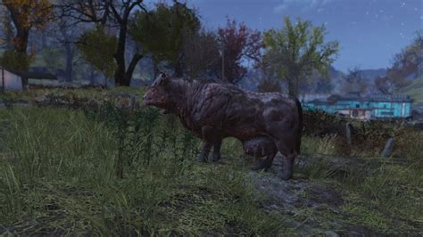 Fallout 76 Brahmin Farming Hotsell | head.hesge.ch