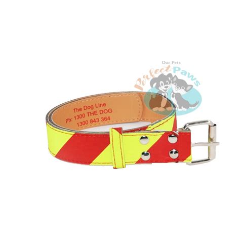 Dangerous Dog Collar - Extra Large – Our Pets Perfect Paws