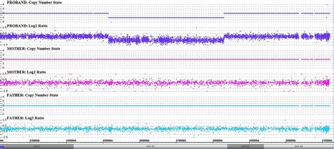 Results of chromosomal microarray analysis in the patient and his ...