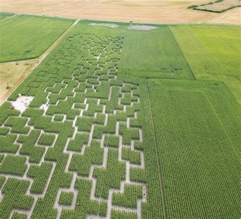 Loisirs Le phénomène Pop Corn Labyrinthe un concept qui s éclate