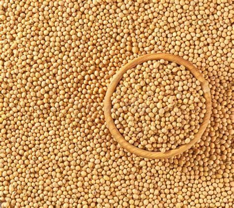 Wooden Plate With Soybeans On A Soybeans Background Close Up Top View