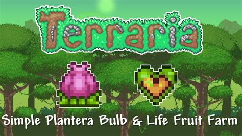 Terraria 14 How To Make A Simple Life Fruit And Plantera Bulb Farm