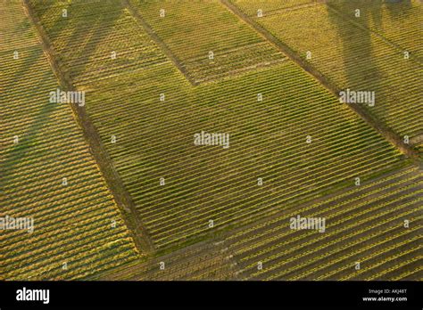 Aerial Of Agricultural Cropland Stock Photo Alamy