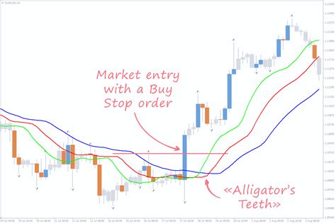 Bill Williams Fractals Indicators To Optimise Your Trading Strategy Fxssi Forex Sentiment