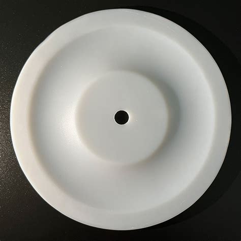 Pump Replacement Membrane Sealing Parts Ptfe Diaphragm For Painting