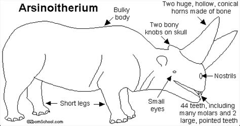 Arsinoitherium Printout- EnchantedLearning.com