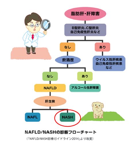 肝臓疾患センター 診療科・診療センター 名鉄病院