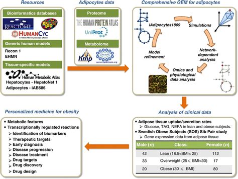 Genome Scale Metabolic Models Gems Provide A Scaffold For Integrative