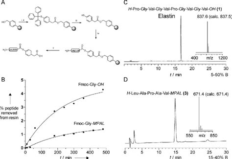 A Direct Synthesis Of Peptide Thioesters By Amodified Boc Protocol