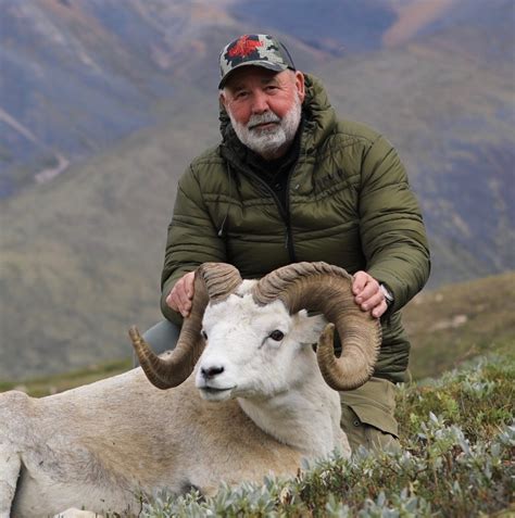 Page Raven S Throat Outfitters Dall Sheep Photo Gallery