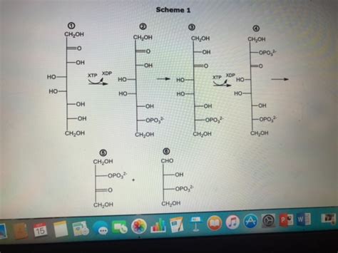 Solved Opo Ch Oh Ch Oh Scheme Ch Oh Op Ch Oh Cho Chegg