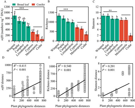 The Abundance Of Nifh Gene A And Diversity B And C Of Diazotrophic