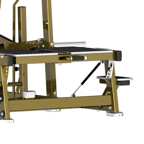 LD 2004 Belt Squat Buy Hollow Hold Chest Press Vertical Chest Press