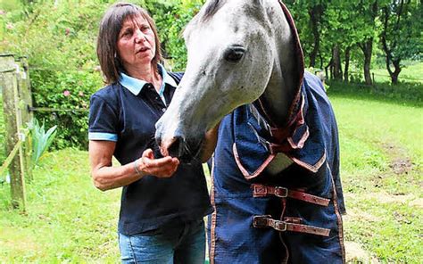 Équitation L endurance passion Le Télégramme