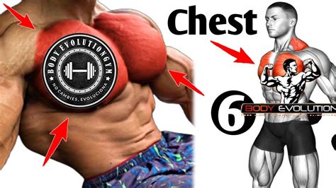 6 Big Chest Exercises Fastest Body Evolution Youtube