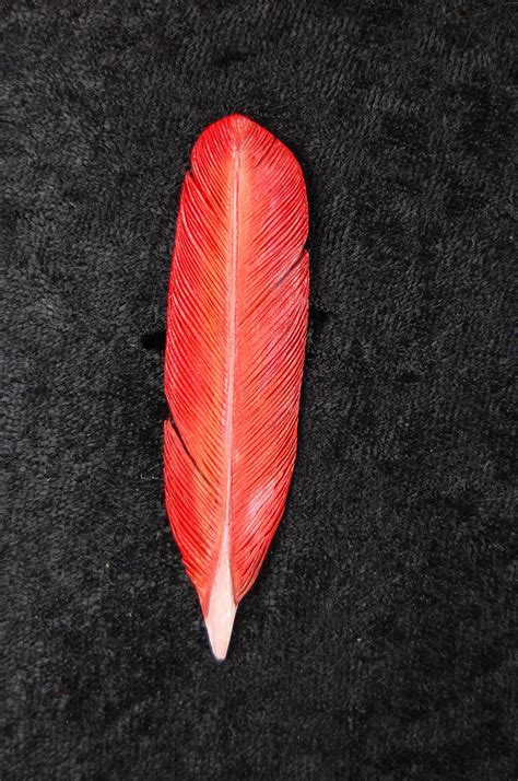 Cardinal Feather Pin.. - Etsy