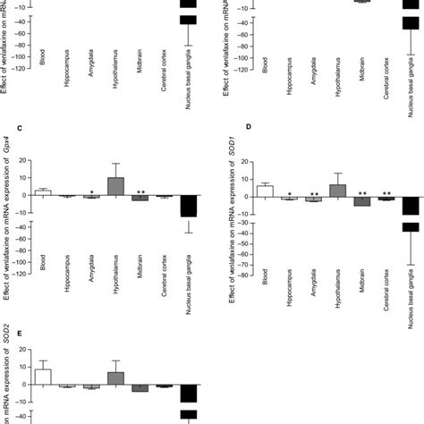 Mrna Expression Of Cat A Gpx1 B Gpx4 C Sod1 D And Sod2 E Download Scientific