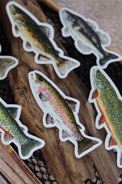 Brook Trout Sticker Fish Sticker Fish Decal Trout Decal Etsy