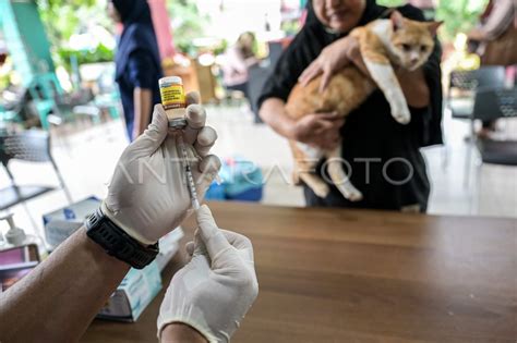 Vaksinasi Rabies Untuk Hewan Peliharaan Di Jakarta ANTARA Foto