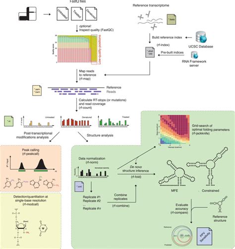 Basic Rgb Rna Seq Blog