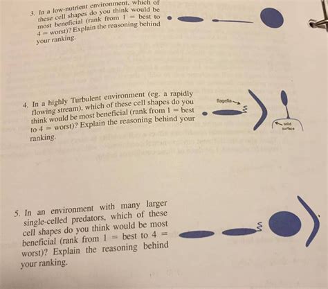 Solved In a low-nutrient environment, which of these cell | Chegg.com