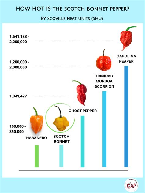 What Is A Scotch Bonnet Pepper Grow Hot Peppers