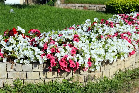 Aiuole Fiorite Ispirazioni Per Un Giardino A Colori Ispiratevi