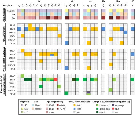 Summary Of Patient Characteristics And Gene Mutations In Matched Tdna