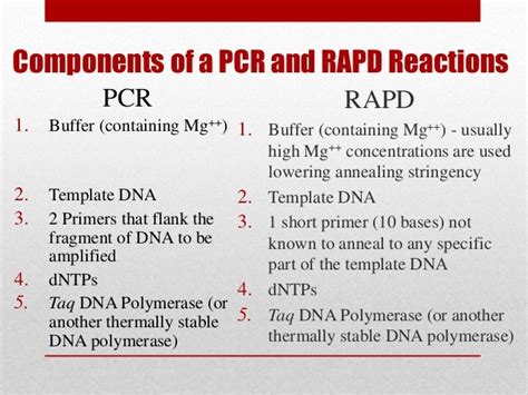 Random Amplified Polymorphic Dna Rapd