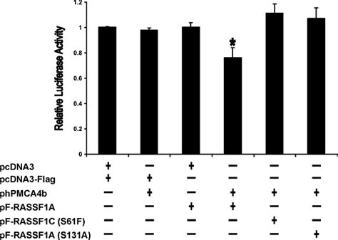 Co Expression Of HPMCA4b And RASSF1 Inhibits The Erk Pathway 0 25 G Of