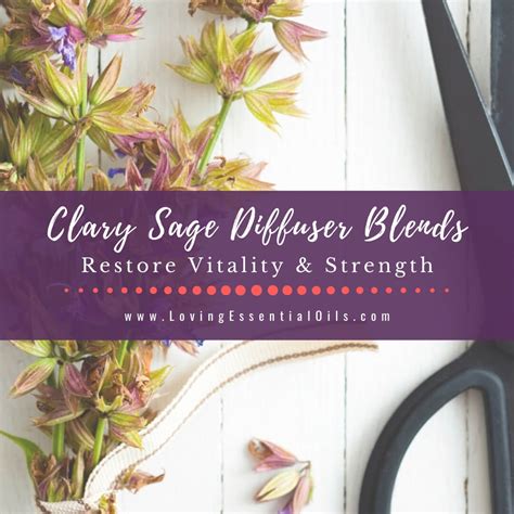 Clary Sage Diffuser Blends - 10 Euphoric Essential Oil Recipes