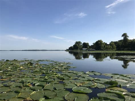 Expanding Community Benefit - Scugog Lake Stewards