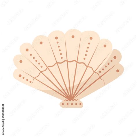 beautiful scallop shell isolated  white background marine life