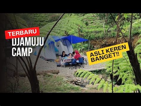 Camping Keluarga Di Djamuju Coffee And Camp Ciwidey Bandung Viral