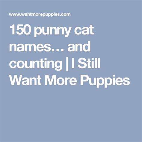 150 punny cat names… and counting | I Still Want More Puppies | Punny dog names, Cat names, Punny